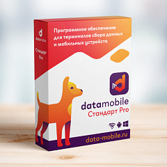 ПО DataMobile, версия Стандарт Pro в Хабаровске